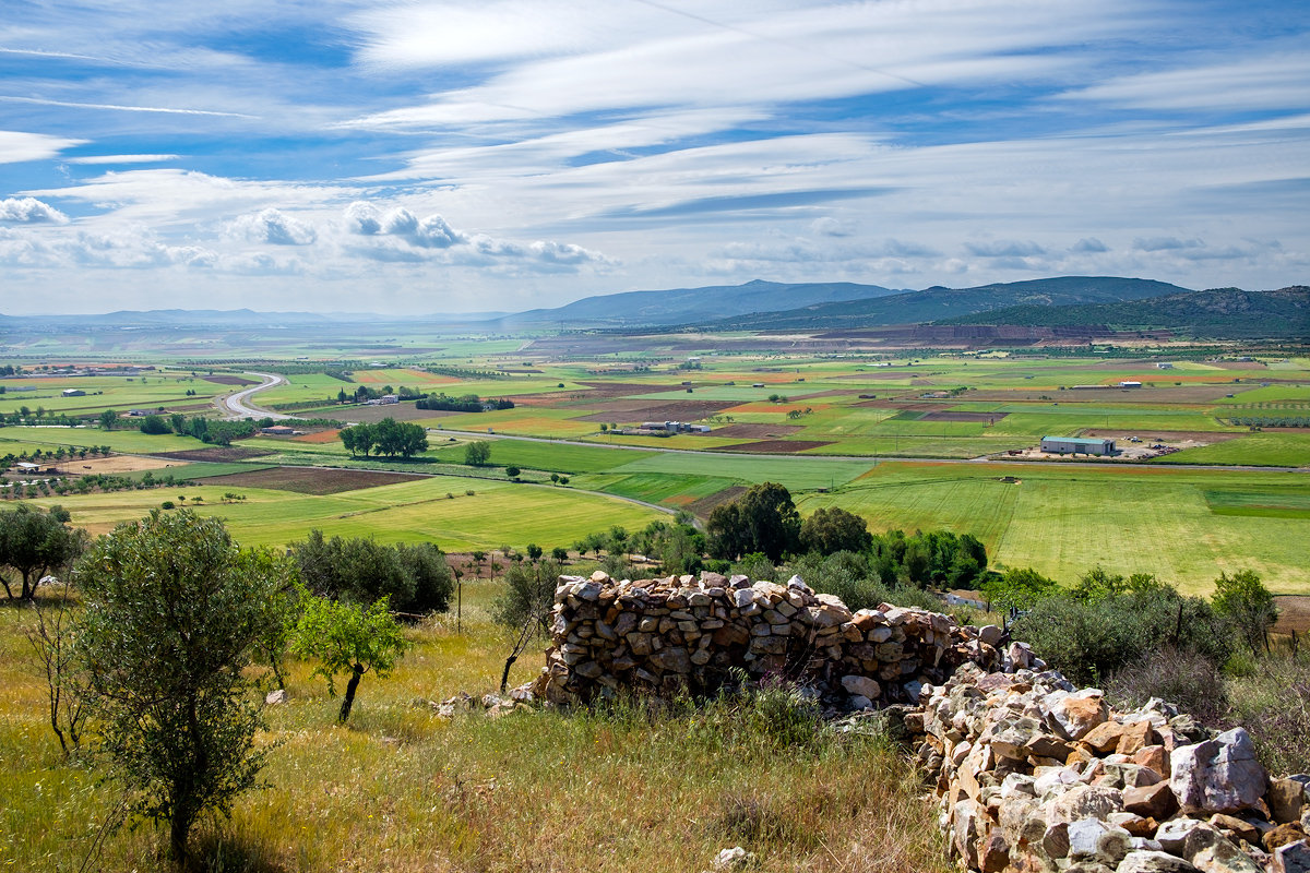 IGP Berenjena de Almagro